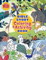 The Big Picture Interactive Bible Story Coloring & Activity Book