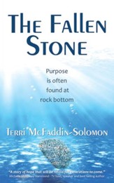 The Fallen Stone: Purpose is often found at rock bottom - eBook