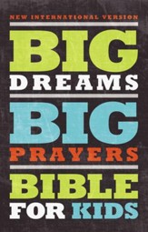 Big Dreams, Big Prayers Bible for Kids, NIV: Conversations with God - eBook