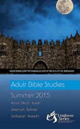 Adult Bible Studies Summer 2015 Student - eBook