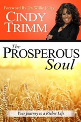 The Prosperous Soul: Your Journey to a Richer Life - eBook