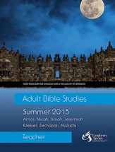 Adult Bible Studies Summer 2015 Teacher - eBook
