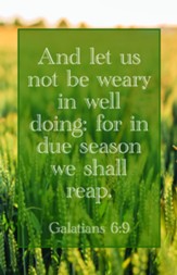 We Shall Reap (Galatians 6:9, KJV) Bulletins, 100