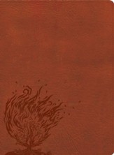 CSB Experiencing God Bible--LeatherTouch, burnt sienna  (indexed)