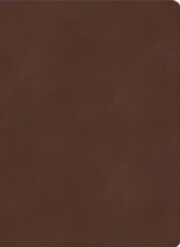 KJV Single-Column Wide-Margin Bible--soft-leather-look, brown