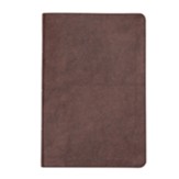 CSB Large Print Thinline Bible--bonded leather, brown (indexed)