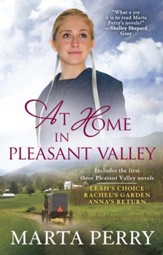At Home in Pleasant Valley - eBook
