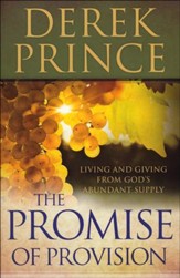 The Promise of Provision: Living and Giving from God's Abundant Supply - Slightly Imperfect
