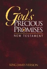 KJV God's Precious Promises New  Testament, Burgundy Cover