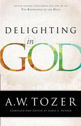 Delighting in God - eBook