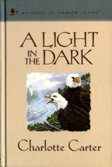 A Light in the Dark - eBook