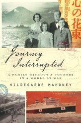 Journey Interrupted - eBook