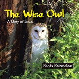 The Wise Owl: A Story of Jesus - eBook