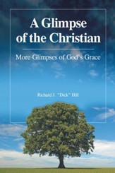 A Glimpse of the Christian: More Glimpses of Gods Grace - eBook