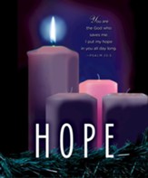 Hope Advent Candle Sunday #1 Large Bulletins, 50 (Psalm 25:5, CEB)