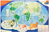 Operation World Prayer Map (folded)
