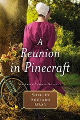 A Reunion in Pinecraft: An Amish Summer Novella / Digital original - eBook