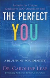 The Perfect You: A Blueprint for Identity - eBook