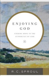 Enjoying God: Finding Hope in the Attributes of God - eBook