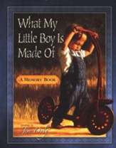 What My Little Boy Is Made Of: A Memory Book