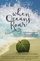 When Oceans Roar - eBook