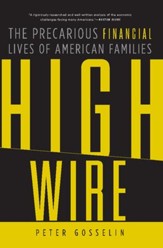 High Wire: The Precarious Financial Lives of American Families - eBook