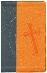 La Biblia de Promesas para Jovenes NTV, Piel Imit. Naranja/Gris  (NTV Promise Bible for Teens, Orange/Grey Imit. Leather)