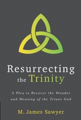 Resurrecting the Trinity: A Plea to Recover the Wonder and Meaning of the Triune God - eBook