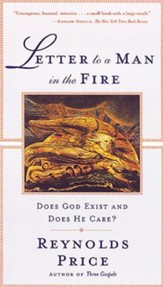 Letter To A Man In The Fire: Does God Exist And Does He Care - eBook