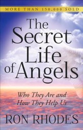 The Secret Life of Angels: Who They Are and How They Help Us