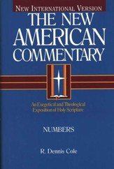 Numbers: New American Commentary [NAC]