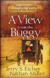 A View from the Buggy: True and Inspiring Stories of the Amish Life