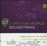Something In The Water [Music Download]