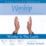 Worthy is the Lamb, Accompaniment CD