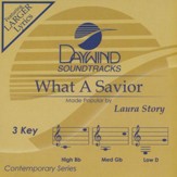 What A Savior Accompaniment, CD