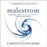 Malestrom: Manhood Swept into the currents of a  Changing World--audiobook [Download]