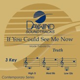 If You Could See Me Now [Music Download]