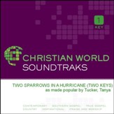 Two Sparrows In A Hurricane [Music Download]
