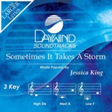 Sometimes It Takes A Storm [Music Download]