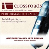Another Valley Left Behind (Performance Track with Background Vocals in D) [Music Download]