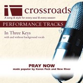 Pray Now (Performance Track Original with Background Vocals) [Music Download]