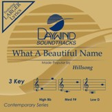 What A Beautiful Name [Music  Download]