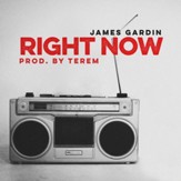 Right Now (prod. by Terem) [Instrumental] [Music Download]