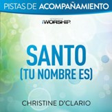 Santo (Tu Nombre Es) [Tono Original sin Coros] [Music Download]
