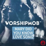 Mary, Did You Know / Love Song [Music Download]