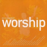 Lost In Wonder (You Chose The Cross) [Music Download]