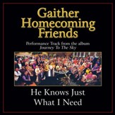 He Knows Just What I Need (Low Key Performance Track Without Backgrounds Vocals) [Music Download]