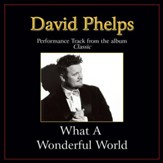 What a Wonderful World Performance Tracks [Music Download]