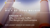 Why Christians Suffer [Video Download]