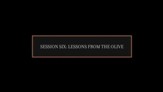 Lessons from the Olive [Video Download]